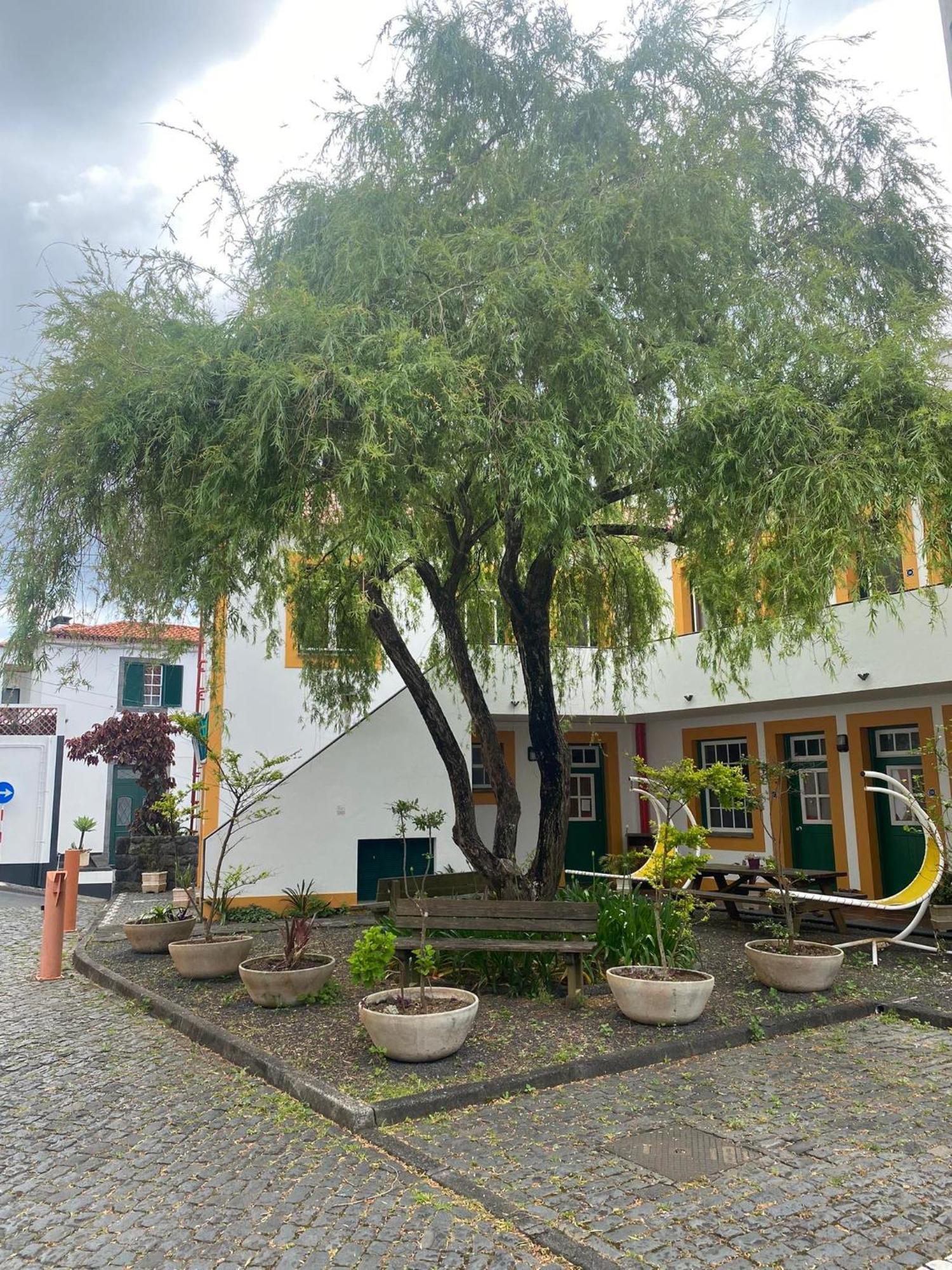 Hospedaria Verdemar Horta  Exterior photo